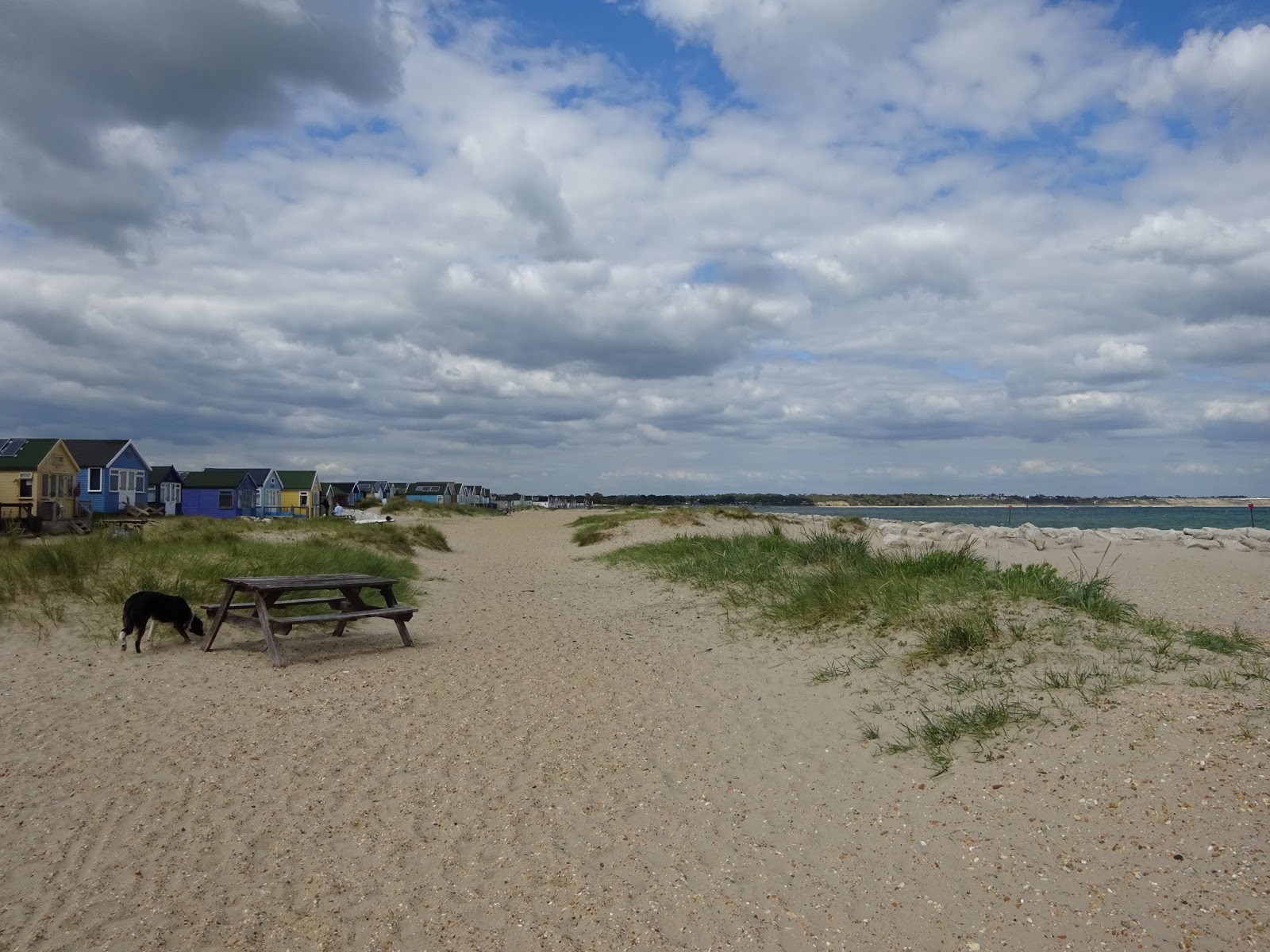Another day, another walk Hengistbury Head, Dorset.