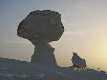 Question: NOT "Who came first?", but for the chicken, "To be or not to be?" White Desert, Egypt