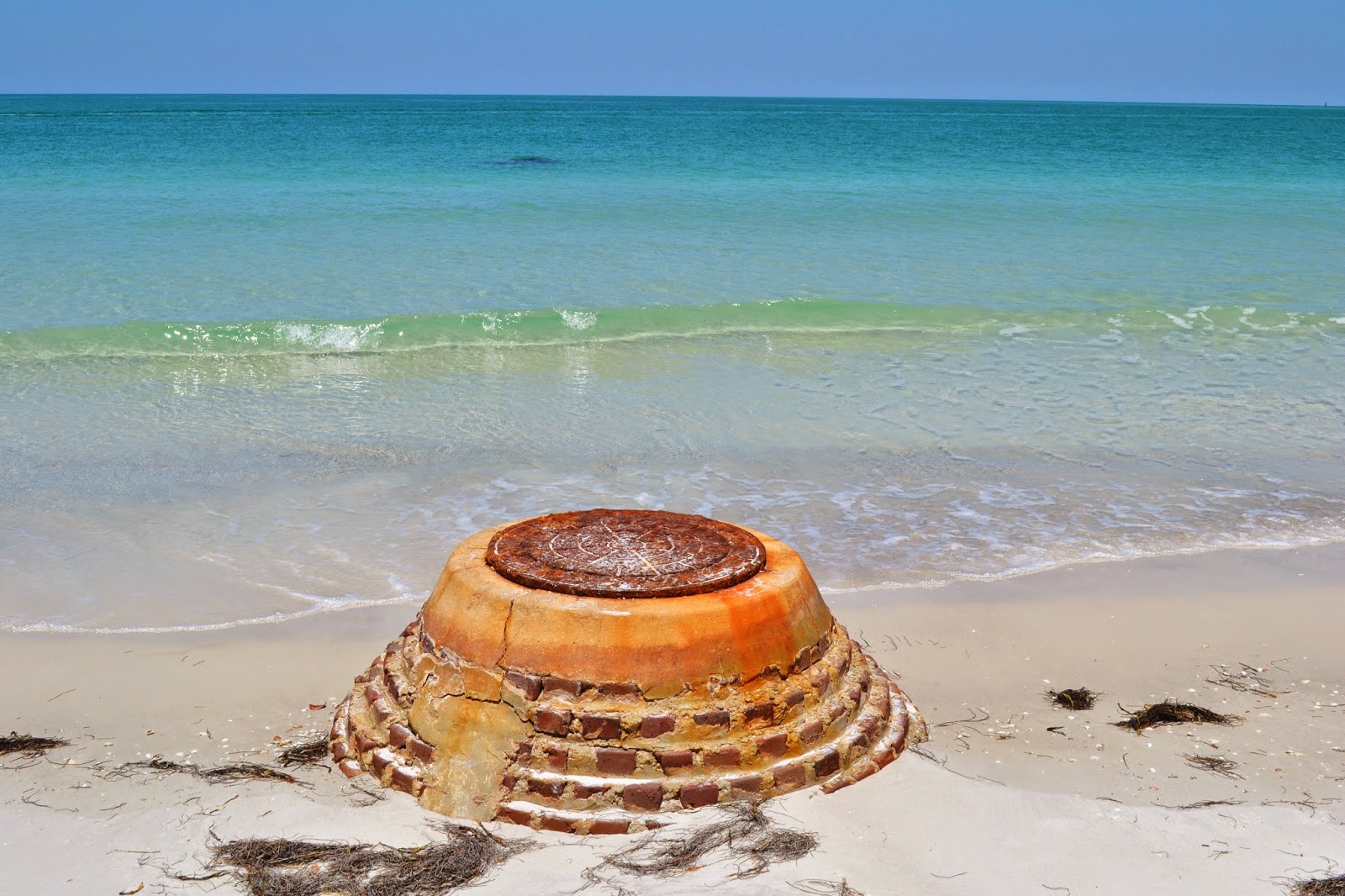 Travel in the nature Egmont Key day trip