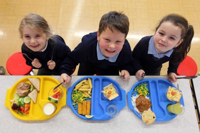 Okul dönemi çocukları nasıl beslenmeli?