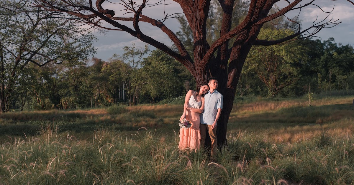 Wedding/ Engagement Shoot in a Lalang field; Jurong Lakeside Garden, Singapore