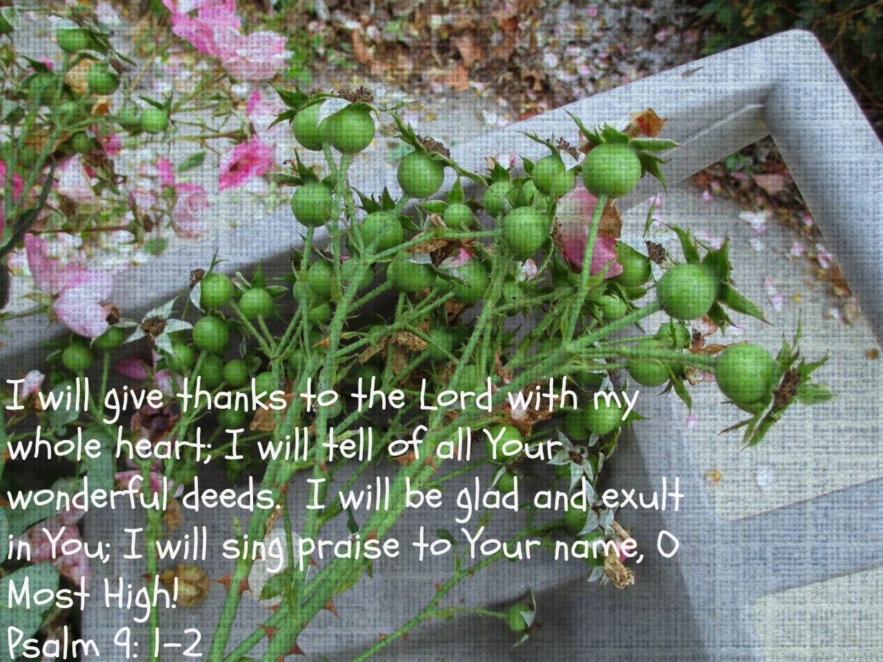 His UnEnding Love Psalm 9 1 2 his-unending-love-psalm-9-1-2