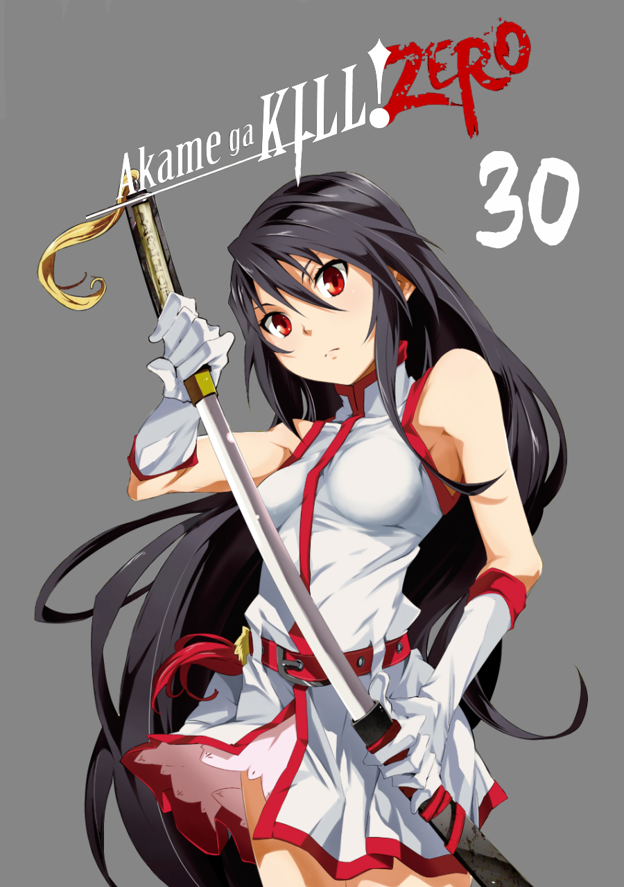 Akame ga Kill! Zero #30