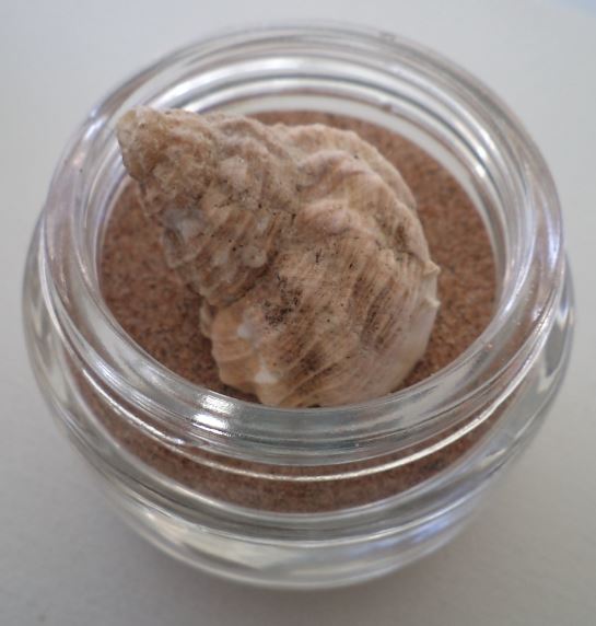 eSheep Designs DIY a Pin Jar in 1 Minute