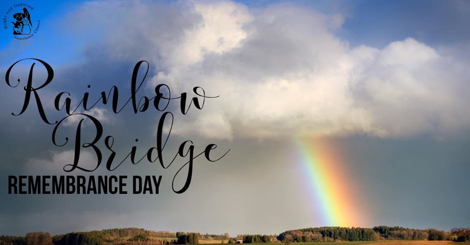 Rainbow Bridge Remembrance Day Rainbow Bridge Remembrance Day