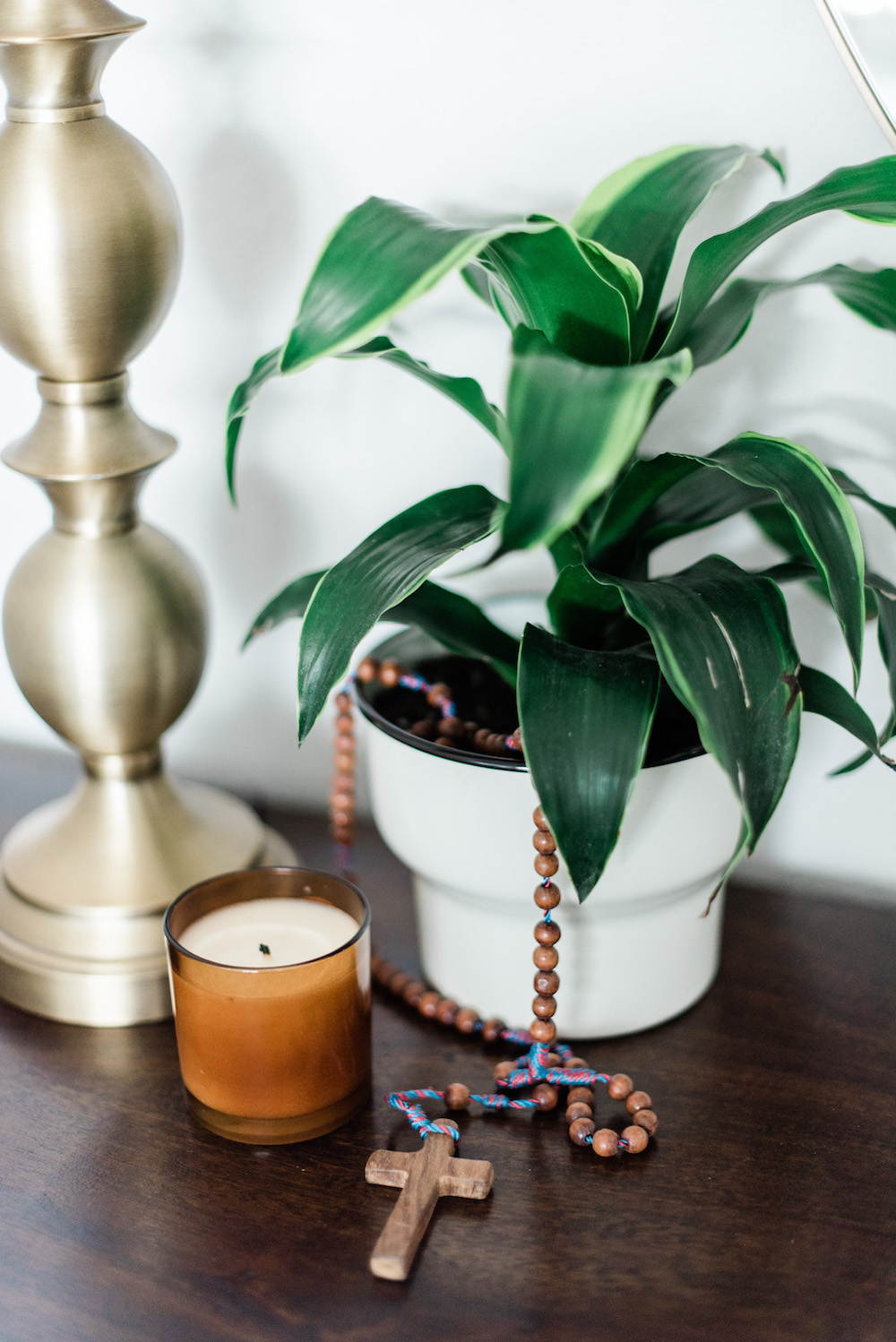 7 Low Maintenance Plants For Your Home Jesse Coulter 7-low-maintenance-plants-for-your-home-jesse-coulter