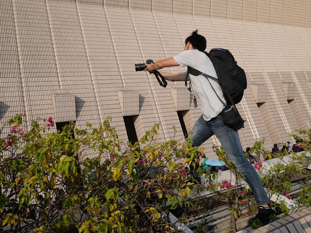 man leaning over a high ledge to take a photo