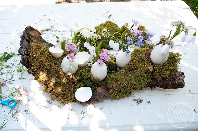Naturdeko aus Eiern, Baumrinde, Moos und Blumen basteln.