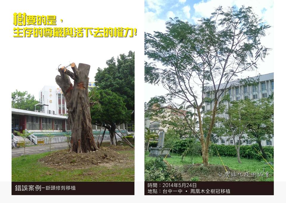 箱の中の心臓: 寄付と移植技術の進化を示すビデオ