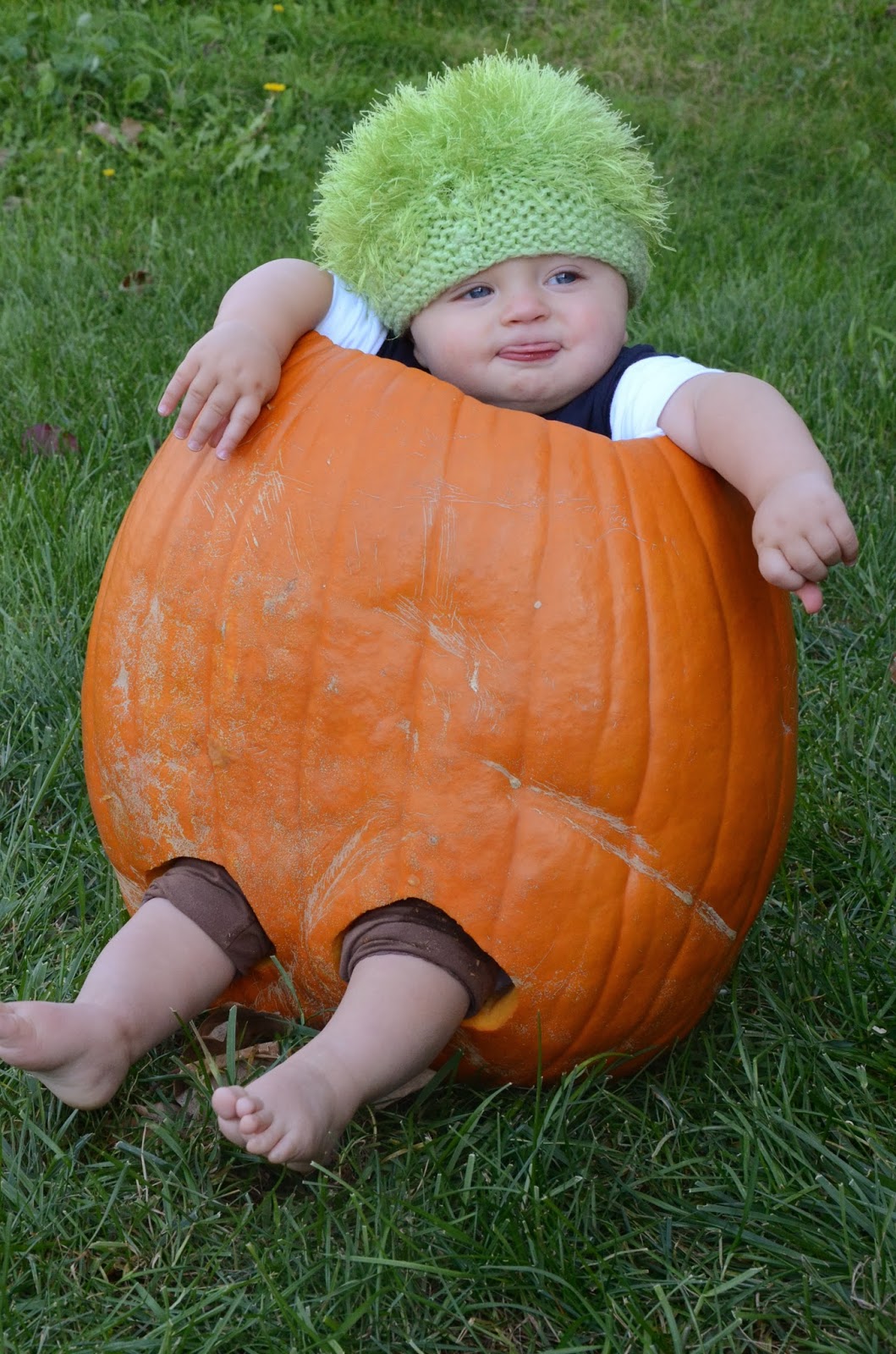 The Steg Family Chronicles: Poor Lil' Pumpkin Boy!