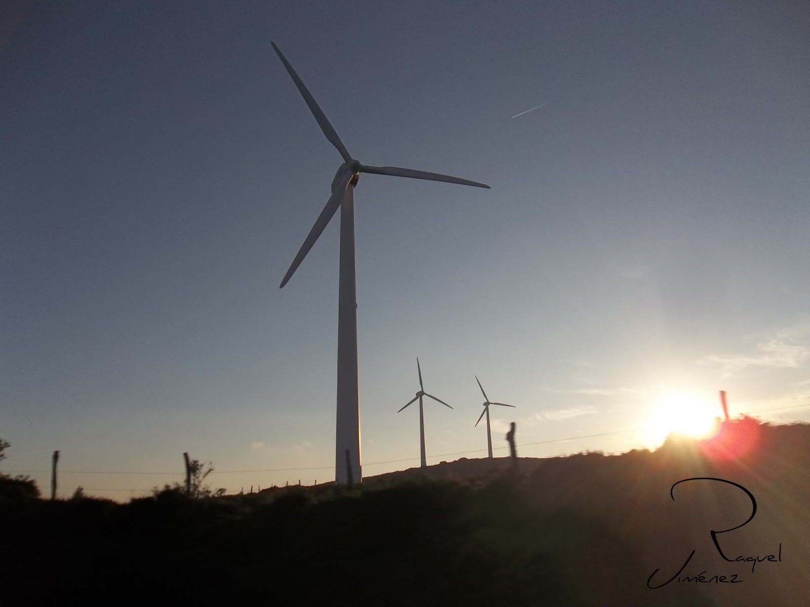 MOLINOS DE VIENTO AL CAER EL SOL