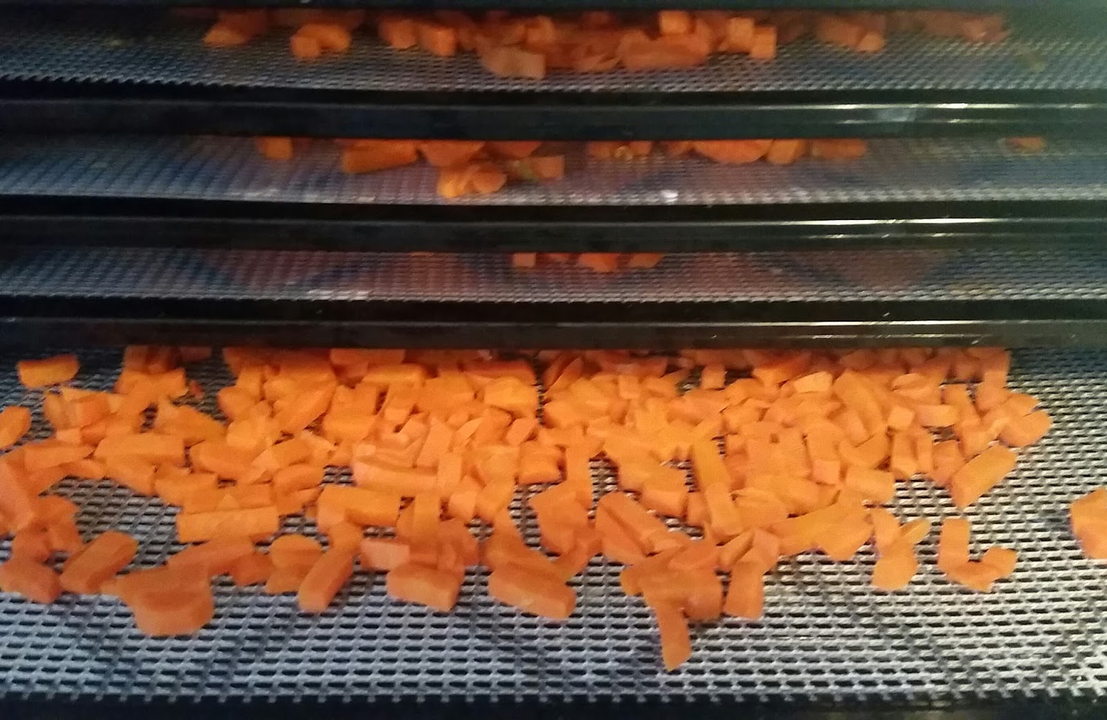 Mrs. Patsi A Working Pantry How To Dehydrate Carrots