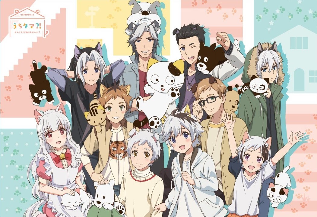 Download Uchi Tama Uchi No Tama Shirimasen Ka Batch Subtitle Indonesia Free Wallpaper Uchi Tama Uchi No Tama Shirimasen Ka Batch Subtitle Indonesia Desktop Wallpaper Free