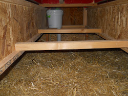 coop chicken farm painting bring below