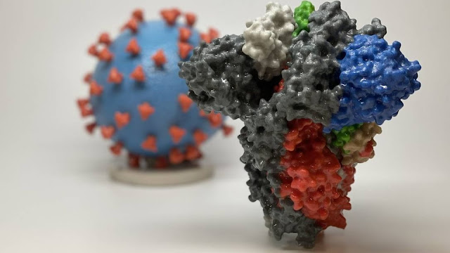 Vacinas contra coronavírus têm resultado positivo na Itália