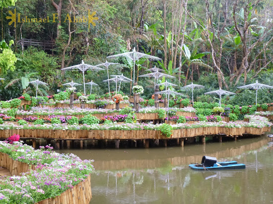 Lake near the Doi Tung Royal Villa