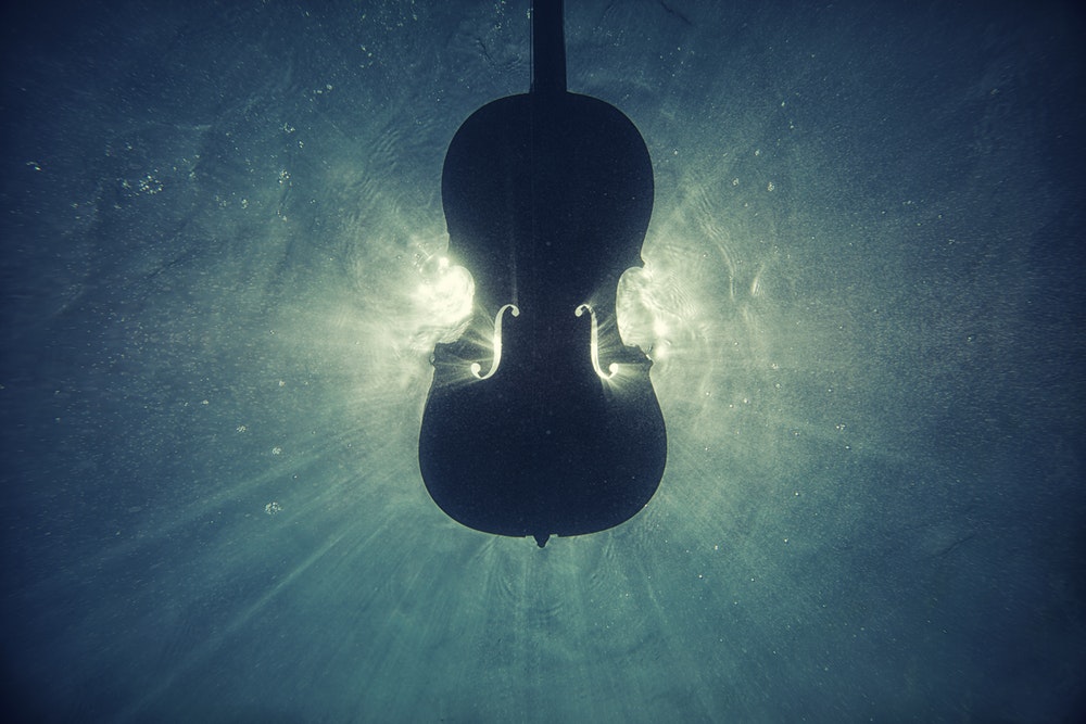 violin images