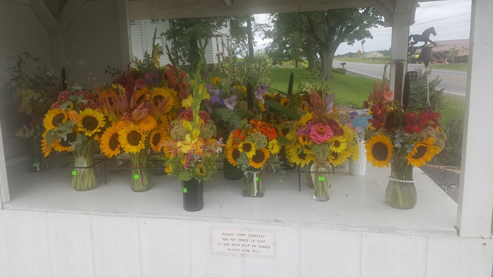 Valley Girl Views The Amish Florist On Rt 54 in Watsontown