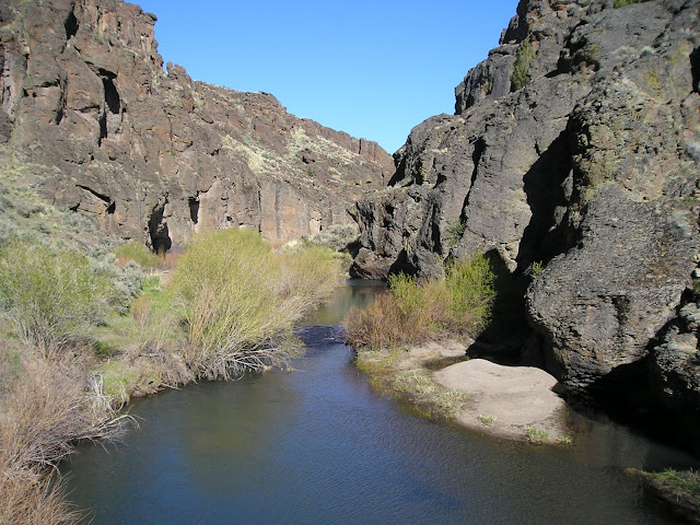 Birding Is Fun!: Three Forks of the Owyhee River