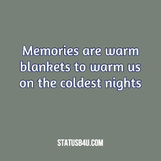 Quotes & Status About Memories