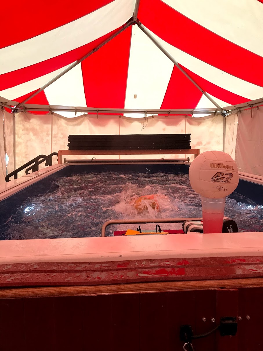 Gords Swim Log Endless Pools Review