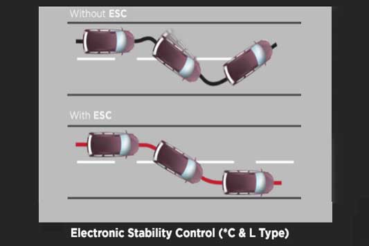 stability-control-cortez