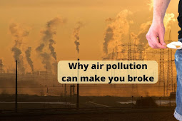 Why air pollution can make you broke