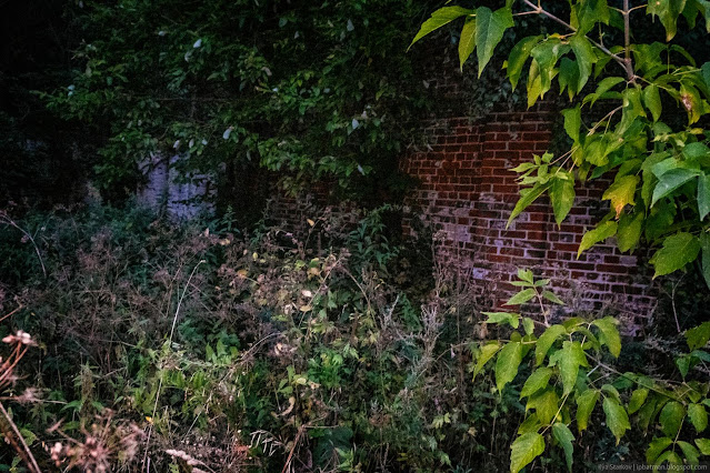 Сочинение про усадьбу рукавишниковых Поросшие травой и деревьями кирпичные развалины