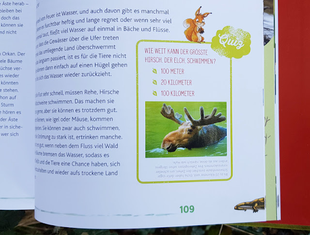 Im Wald unterwegs: "Weißt Du, wo die Tiere wohnen?" Lesen ist toll, mitmachen ist besser: Vom Buch zur Tat!