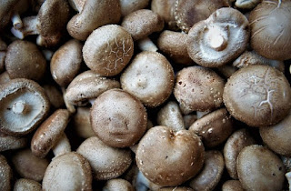 gambar Manfaat ajaib dari jamur shiitake
