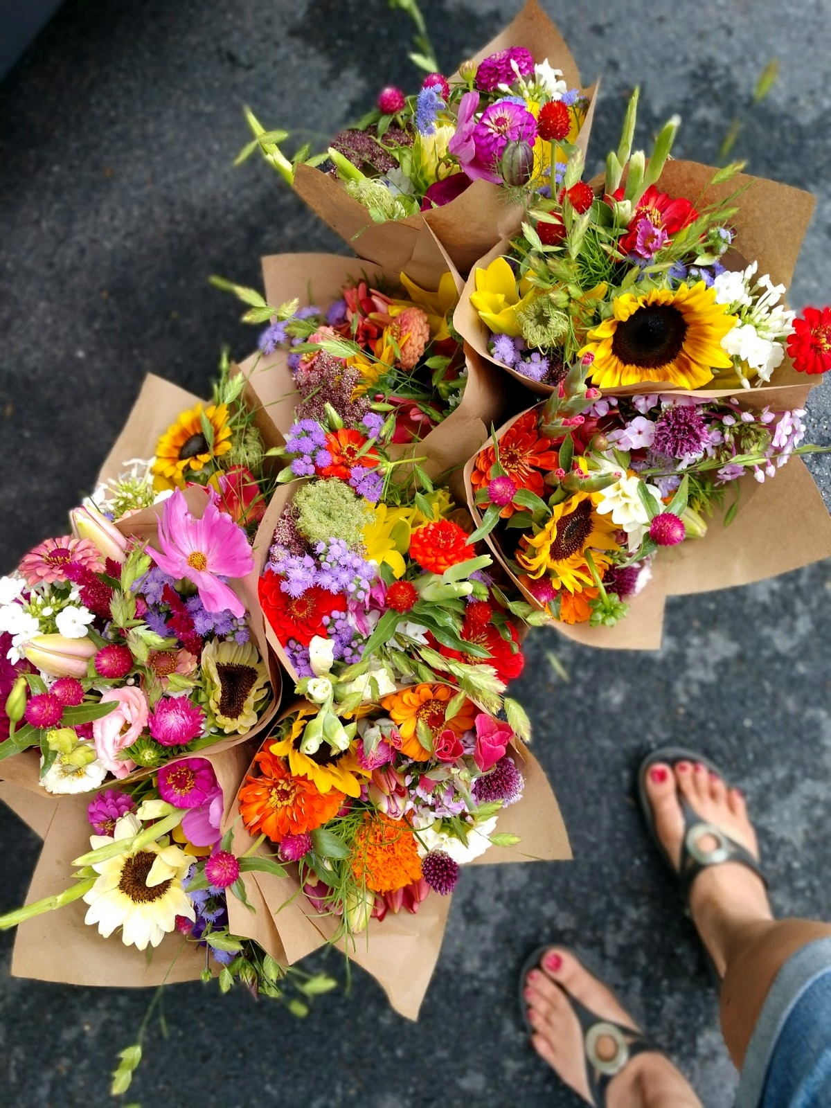 Best in Bloom Today...