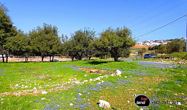 Land for sale in Dabouq