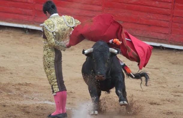 Ley de Protección Animal no incluyen las corridas de toros