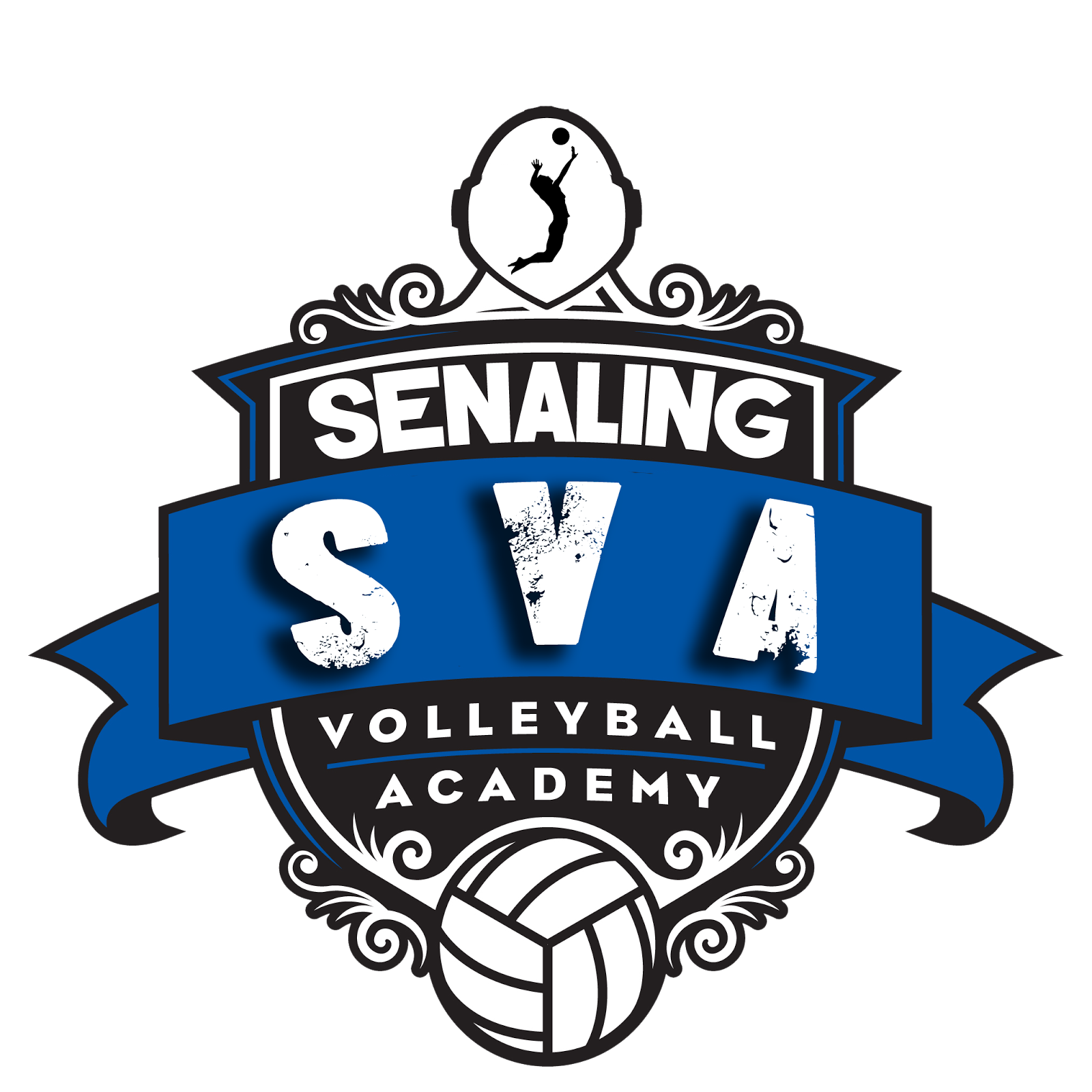 Senaling Volleyball Academy
