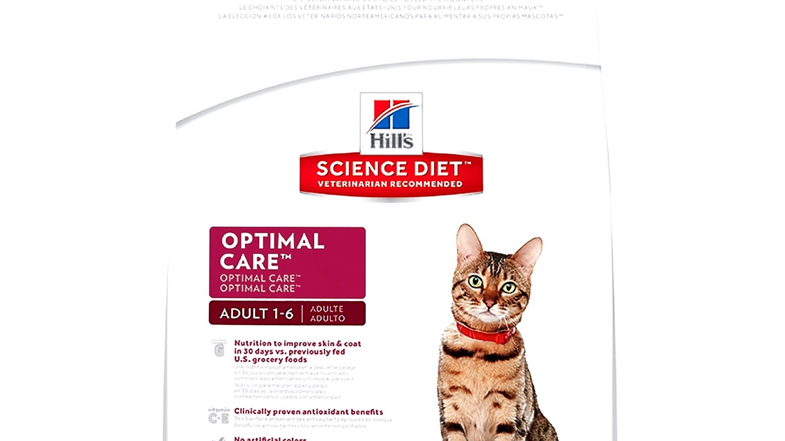 Best Cat Diet Cat Choices