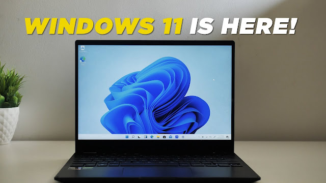 11 Windows