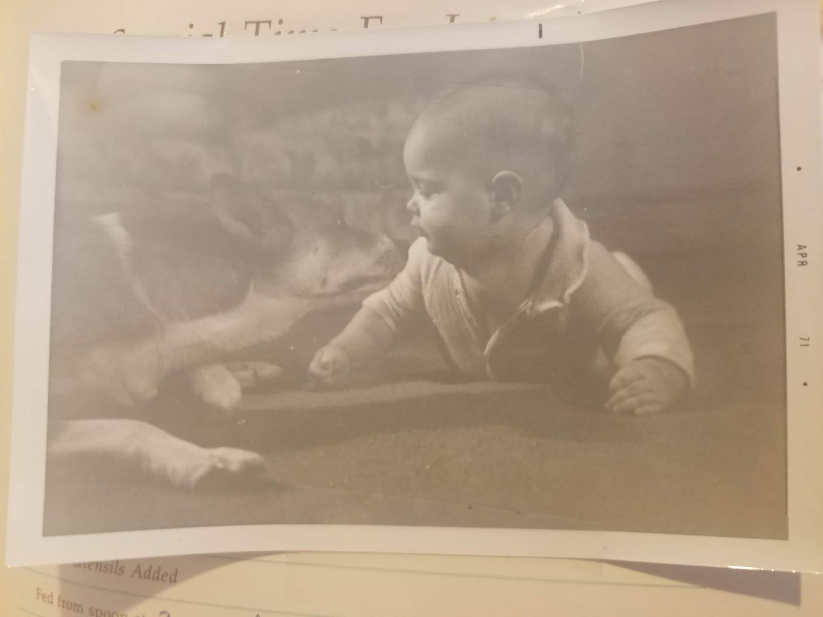 The Poem Farm Poems Can Grow From Special Dates