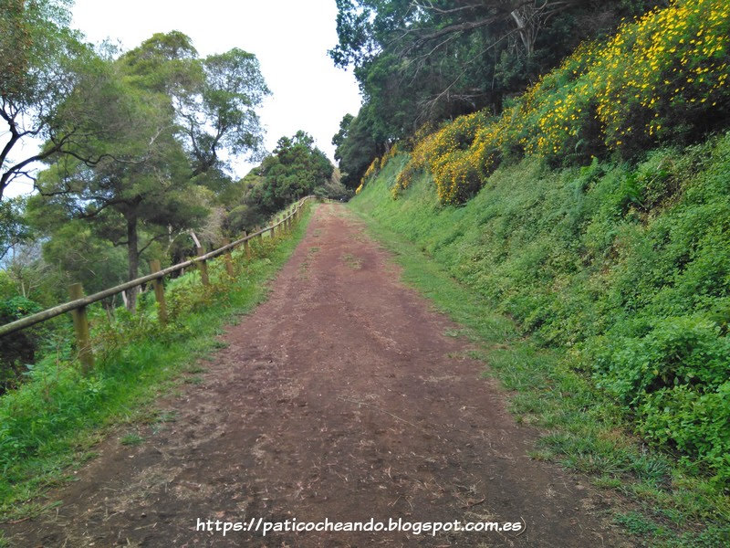 ANGRA do HEROISMO-MONTE BRASIL(Isla Terceira-Açores): a la banda dcha es todo Monte, a la izda es todo mar, con unas magnificas vistas a la Bahía y a la ciudad de Angra do Heroísmo