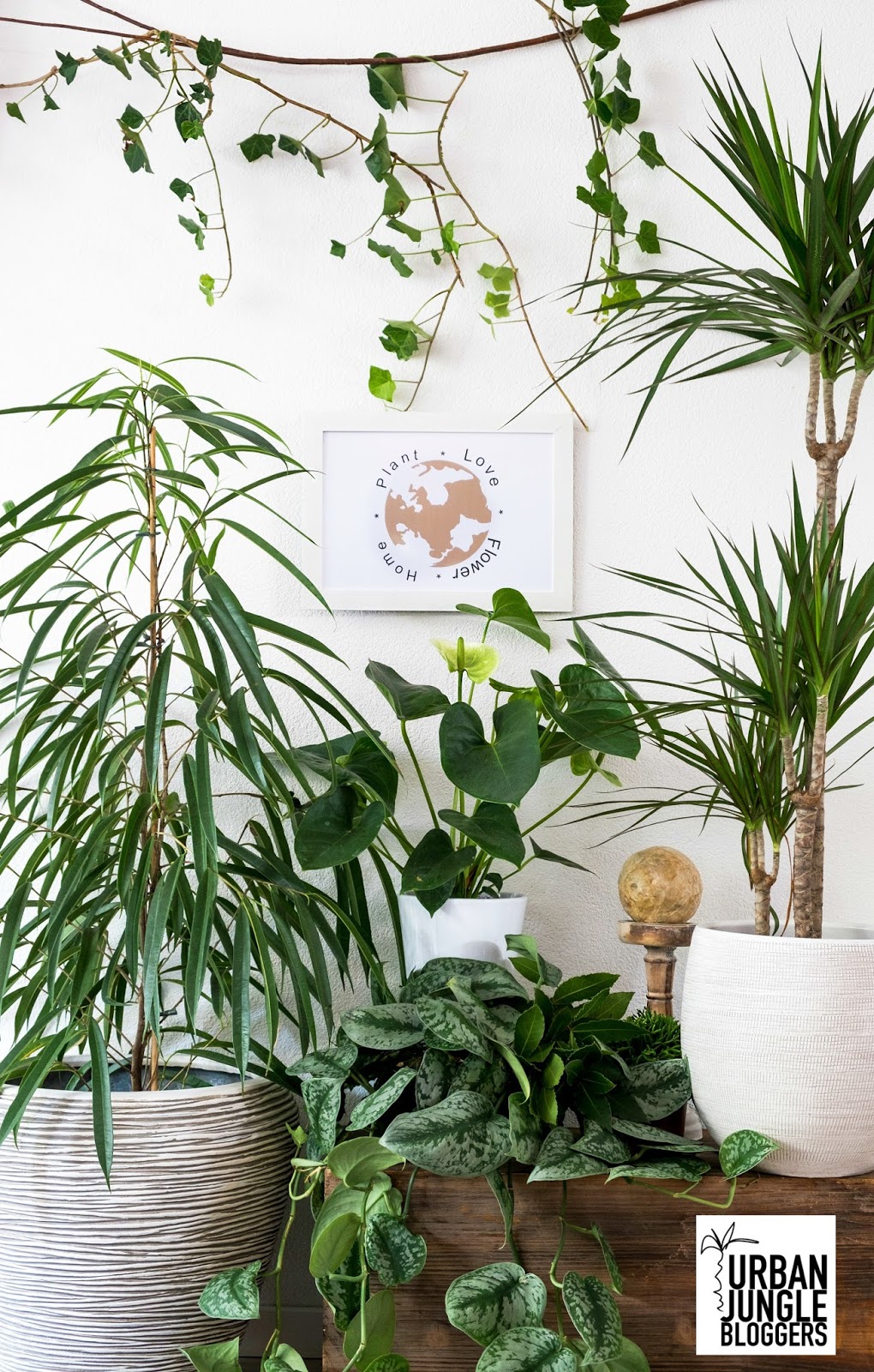 Plants & Words: inspiratie voor je huis - Urban jungle bloggers Plants & Words: inspiratie voor je huis - Urban jungle bloggers