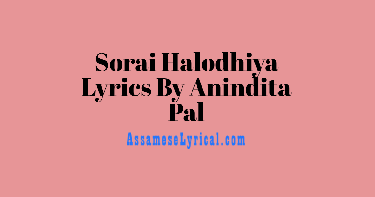 Sorai Halodhiya Lyrics By Anindita Pal Assamese Lyrics Assameselyrical Com sorai halodhiya lyrics by anindita pal