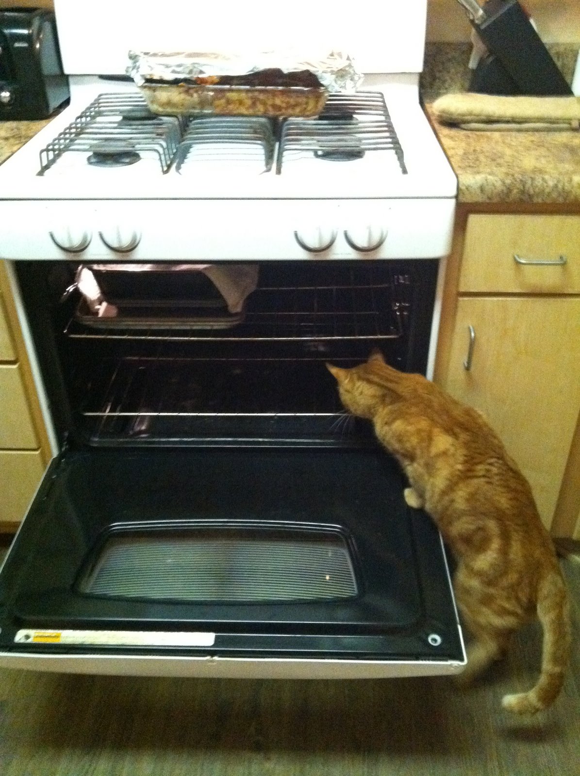 Just a peek! I left the oven open