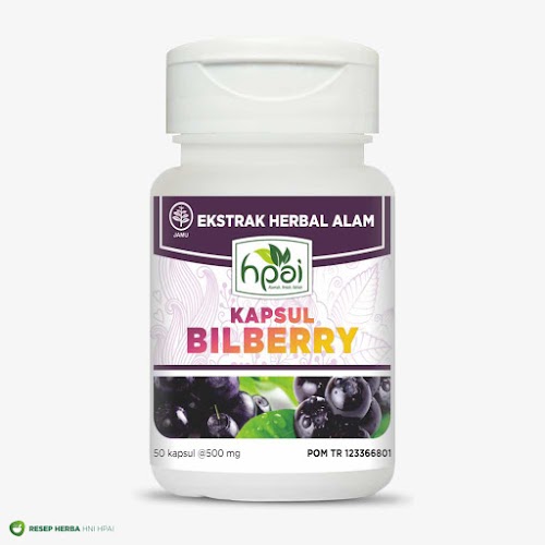 Extrak alami herbal Bilberry