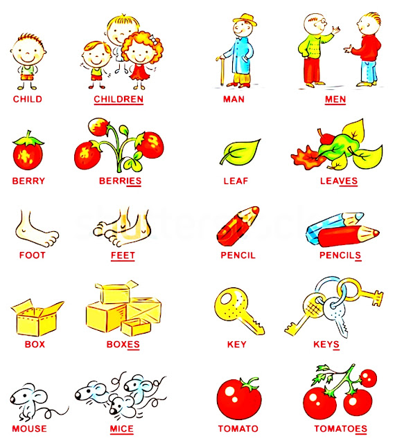 What are Nouns ? 10 Types of Nouns with Examples and Pictures