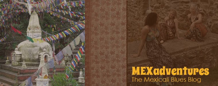 Adventures with Mexicali Blues