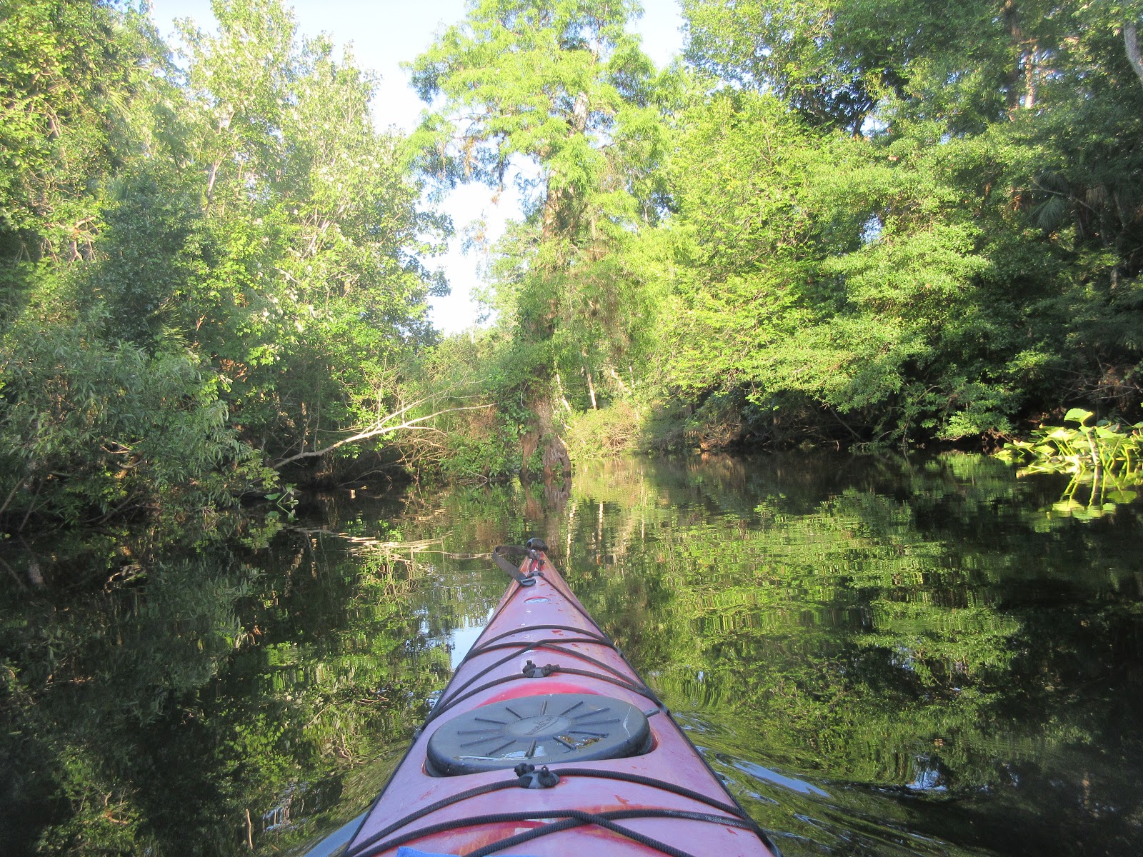 Dave's Yak Tales Wekiva River