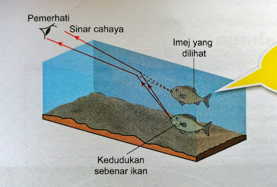 ikan  di dalam akuarium