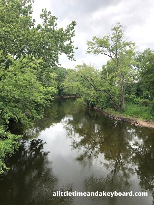A Little Time and a Keyboard Forest Meandering Along Kishwaukee River