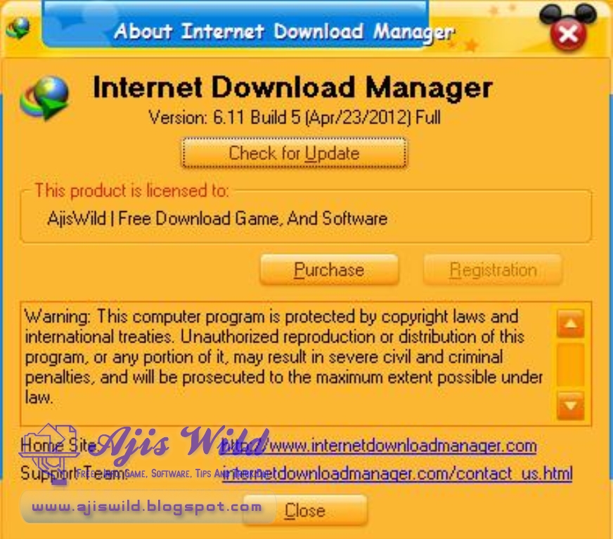 Internet download manager 6.11 full crack serial key