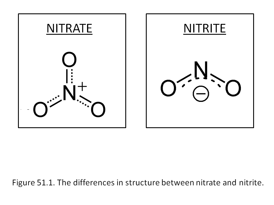 Нитраты нитриты формулы. Нитраты и нитриты. Нитрат нитрит нитрид. Нитраты формула. Нитраты нитриты нитрозамины.