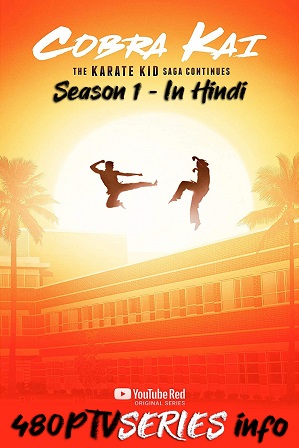 Watch Online Free Cobra Kai Season 1 Full Hindi Dual Audio Download 480p 720p All Episodes